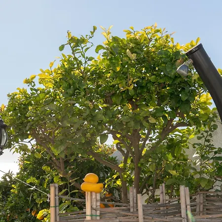 Vila Chimenea 16 Nerja