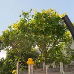 Villa Chimenea - Luxury With Private Pool & Stunning Sea Views - Lual Nerja