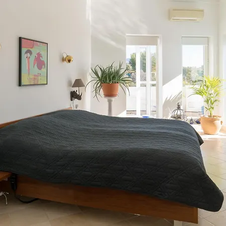 Chimenea 16 * נרחה